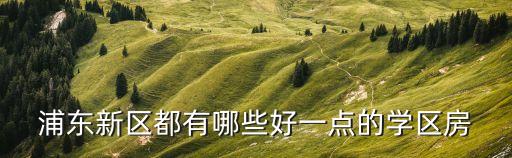 浦東新區都有哪些好一點的學區房