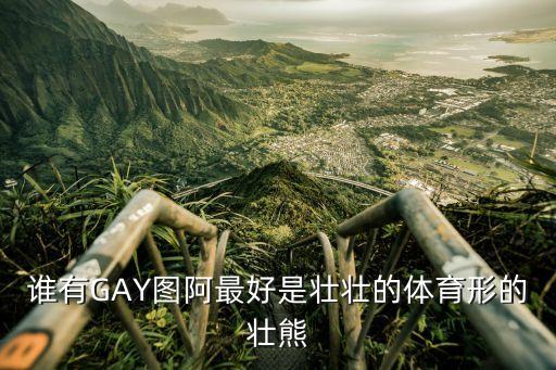 誰有GAY圖阿最好是壯壯的體育形的壯熊