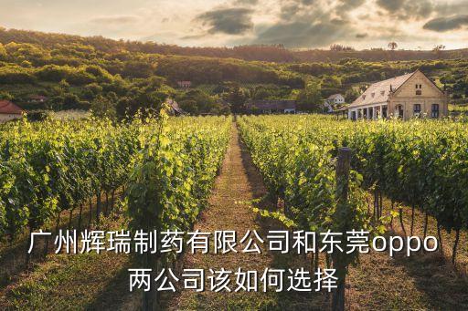 輝瑞廣州分公司，請問輝瑞制藥廣州的地址急啊啊啊