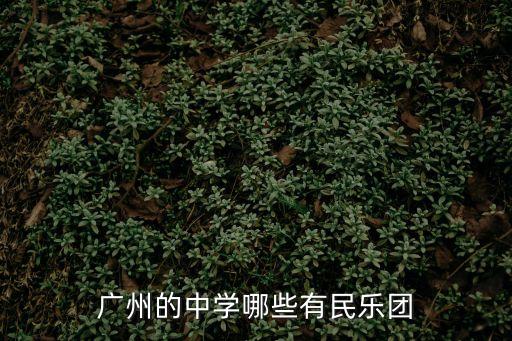廣州的中學哪些有民樂團