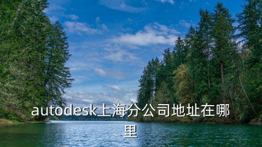 上海市中軟華騰地址，上海PICC分公司的詳細地址在哪