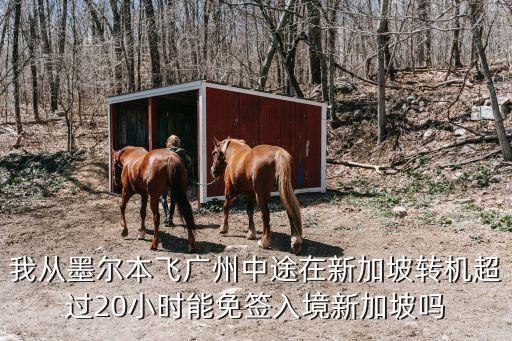 新加坡飛廣州隔離政策，從新加坡回中國(guó)杭州中途轉(zhuǎn)機(jī)廣州中途需要隔離嗎
