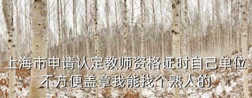 上海市文化局有姓靳的嗎，上海市文化局局長是誰
