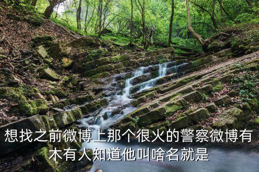 想找之前微博上那個(gè)很火的警察微博有木有人知道他叫啥名就是
