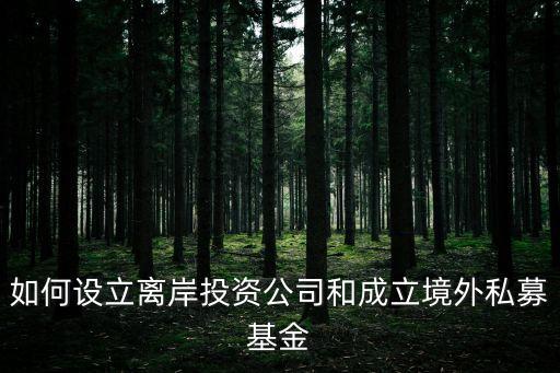 如何設(shè)立離岸投資公司和成立境外私募基金