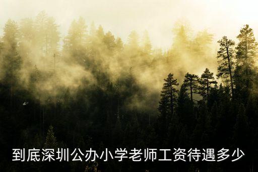 到底深圳公辦小學老師工資待遇多少