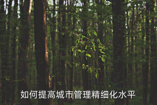 如何提高城市管理精細(xì)化水平