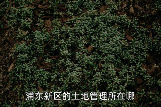 上海市規(guī)劃土地管理事務中心，上海市虹口區(qū)規(guī)劃和土地管理局