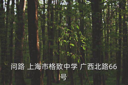 上海市格致中學圍棋，上海格致中學校長張志敏的簡介