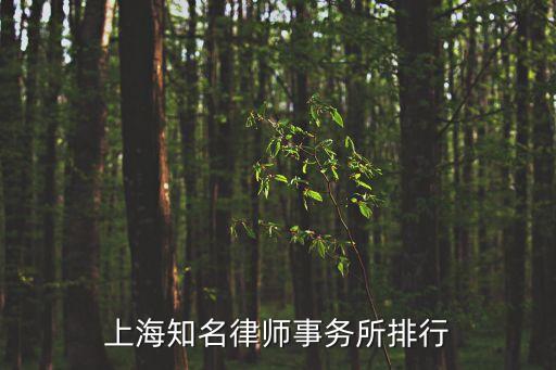 上海知名律師事務(wù)所排行
