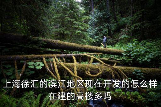 上海市濱江發達嗎，上海徐匯的濱江地區現在開發的怎么樣在建的高樓多嗎