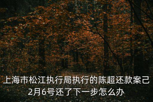 上海市被執行人，上海法院失信人查詢系統在哪里查到