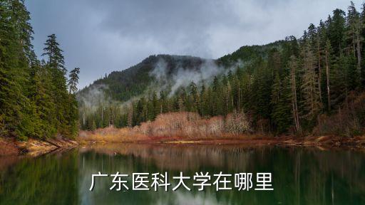 廣州醫(yī)科大在哪個省，廣州醫(yī)科大學(xué)位于廣州哪里