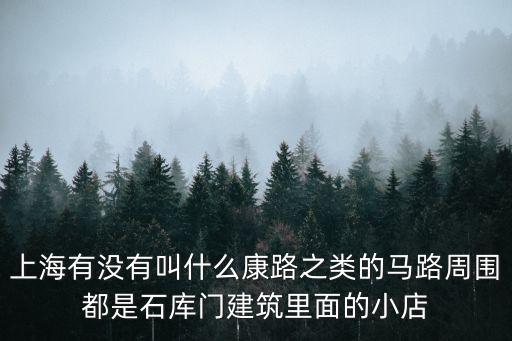 上海有沒(méi)有叫什么康路之類的馬路周圍都是石庫(kù)門(mén)建筑里面的小店