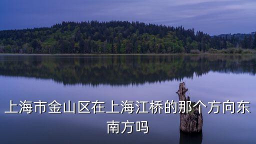 上海市南北轉(zhuǎn)型金山如何發(fā)展，請教上海的東西南北怎么分辨