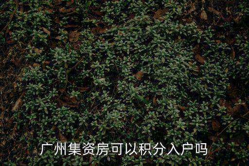 廣州營業(yè)執(zhí)照有積分嗎，新北侖網站營業(yè)執(zhí)照可以積分嗎