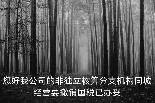 上海市稅務(wù)局袁皓然，2判斷題 總分支機(jī)構(gòu)不在同一縣市的增值稅納稅人經(jīng)批準(zhǔn)可有總