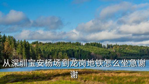 從深圳寶安楊場到龍崗地鐵怎么坐急謝謝