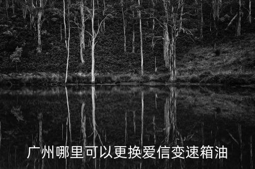 愛信換油中心 廣州，廣州哪里可以更換愛信變速箱油