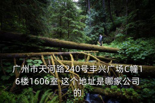 廣州市天河路240號(hào)豐興廣場(chǎng)C幢16樓1606室 這個(gè)地址是哪家公司的
