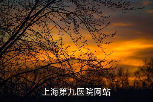 上海第九醫院網站