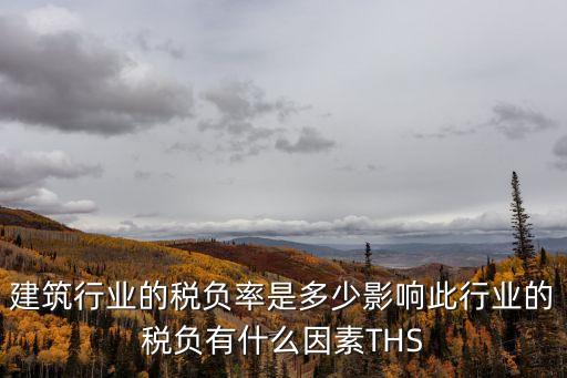 建筑行業(yè)的稅負(fù)率是多少影響此行業(yè)的稅負(fù)有什么因素THS