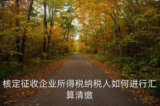 上海市企業(yè)所得稅匯繳，上海市企業(yè)所得稅匯算清繳怎么用