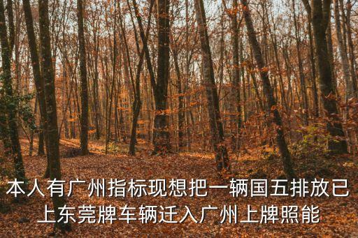 本人有廣州指標現想把一輛國五排放已上東莞牌車輛遷入廣州上牌照能