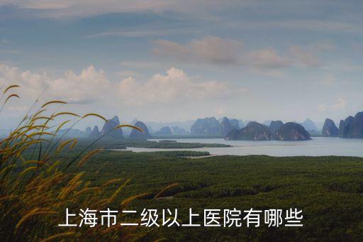 上海市二醫院送藥，上海哪些醫院提供外來處方的中藥針劑注射