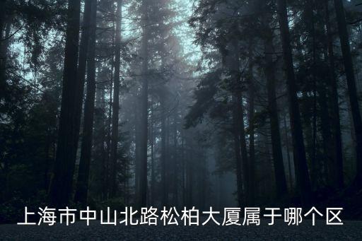 上海市柏樹大廈屬于哪個區(qū)，中國人壽上海楊浦區(qū)大柏大廈地址