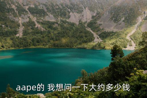 廣州天環(huán)廣場aape價錢，Aape的衣服價位怎么樣怎么我在天貓看到的猿人頭感覺它們是仿