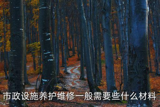 市政設(shè)施養(yǎng)護維修一般需要些什么材料