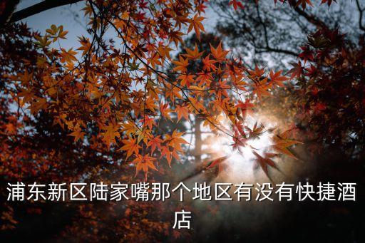 浦東新區(qū)陸家嘴那個(gè)地區(qū)有沒有快捷酒店