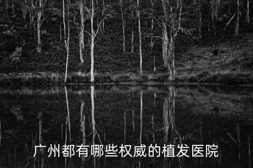 廣州都有哪些權(quán)威的植發(fā)醫(yī)院