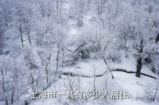 上海市一共有多少人居住