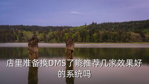 店里準備換DMS了能推薦幾家效果好的系統嗎