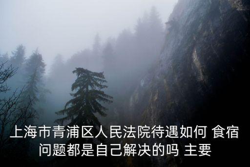 上海市法院薪資待遇，上海市法院系統(tǒng)輔助文員待遇如何