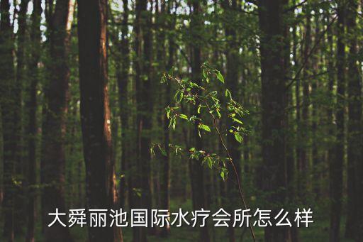 廣州外商中心麗池水療，廣州番禺市橋附近有哪幾間大型點的水療會除了寶島聽說鐘村還