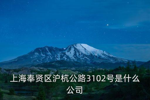 上海奉賢區(qū)滬杭公路3102號(hào)是什么公司