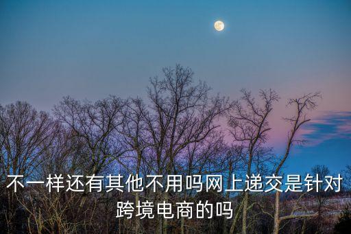 不一樣還有其他不用嗎網上遞交是針對跨境電商的嗎