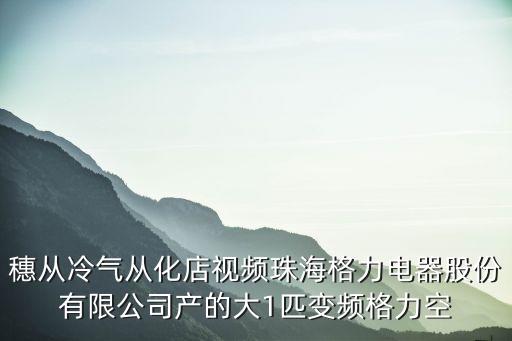 穗從冷氣從化店視頻珠海格力電器股份有限公司產的大1匹變頻格力空