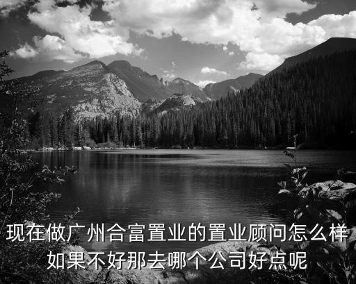 廣州置業合板，現在做廣州合富置業的置業顧問怎么樣如果不好那去哪個公司好點呢