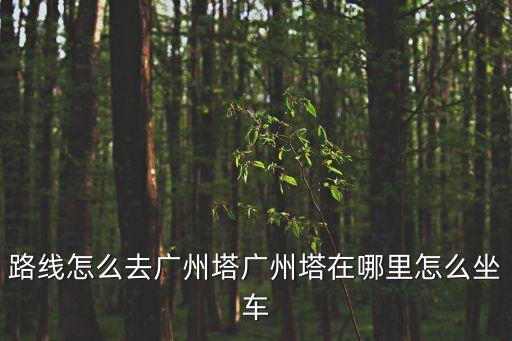 路線怎么去廣州塔廣州塔在哪里怎么坐車