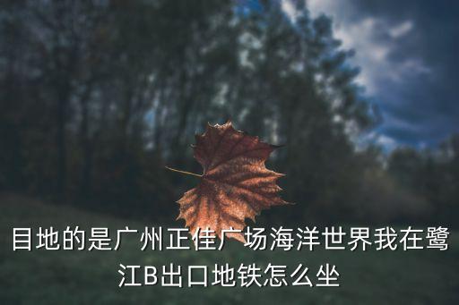 在廣州正佳海洋館工作怎么樣，廣州工作怎么樣