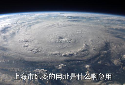 上海市農(nóng)紀(jì)委，上海市紀(jì)委在什么路上