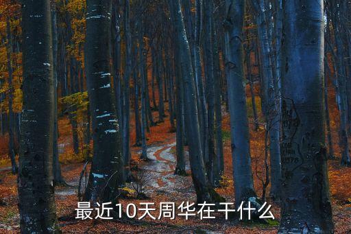 最近10天周華在干什么