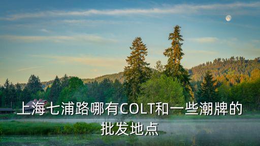 上海七浦路哪有COLT和一些潮牌的批發地點