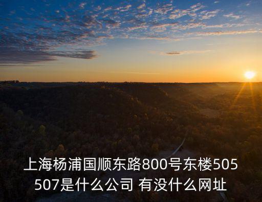 上海市楊浦區曹繼賢有公司嗎，上海楊浦國順東路800號東樓505507是什么公司 有沒什么網址