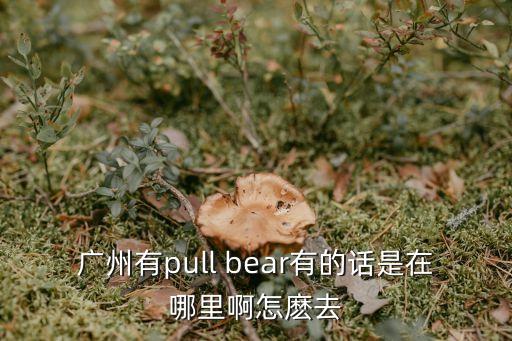 布朗熊在廣州哪里，廣州有pull bear有的話是在哪里啊怎麼去