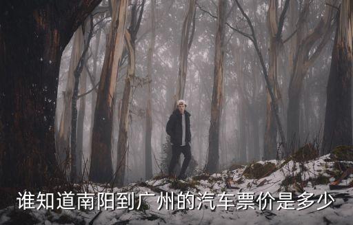 南陽到廣州的大巴車，請問南陽到廣州的汽車票價是多少啊